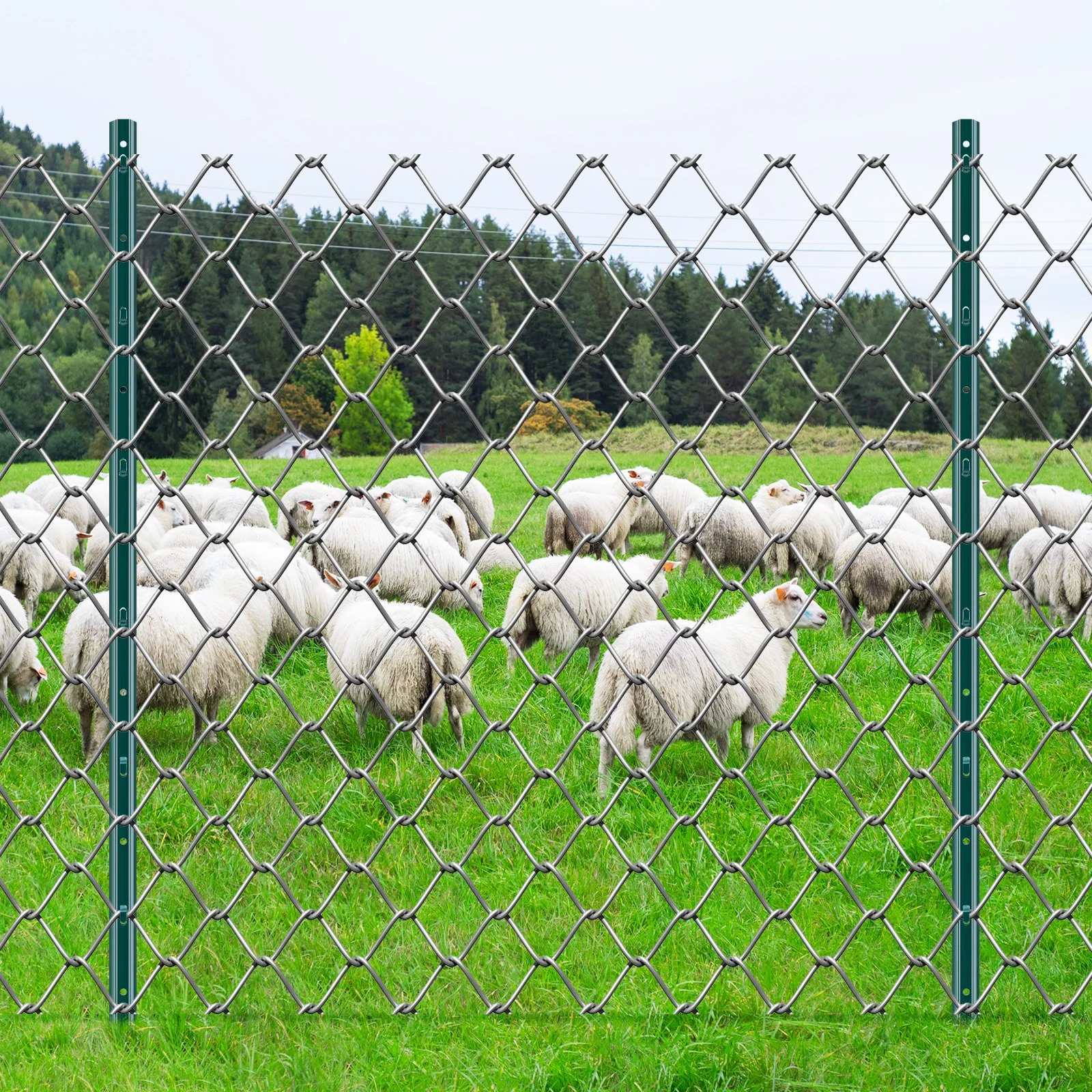 4 ft Green U‑Shaped Heavy‑Duty Metal Fence Posts (10 Pack) – 2mm Q235 Carbon Steel