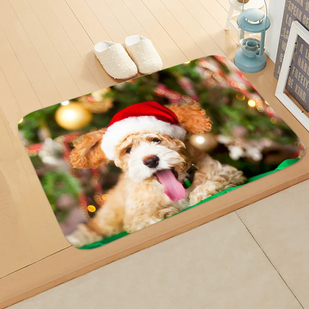 Absorbent Non-slip Carpet Floor Mat for Bedroom Bathroom and Home