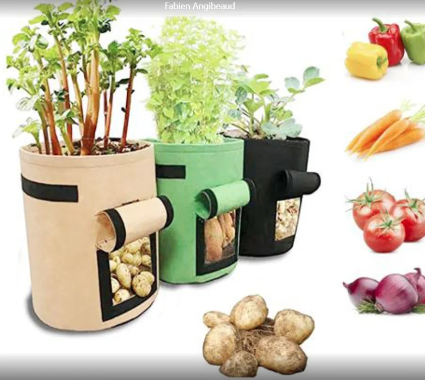 Breathable Potato Tomato Plant Growth Bag with Side Window, Double Handles, PE Material