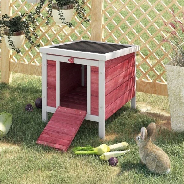 Dog House, Pet House, Rabbit House, Duck House, Amazon Shipping, Walmart Banned, No Shipments on Weekends