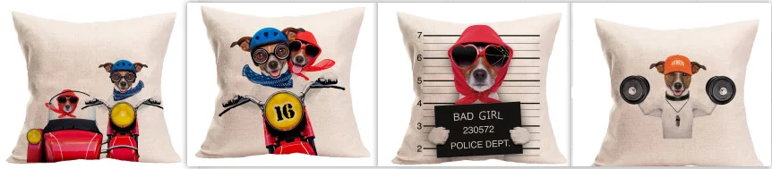 Home Cushion Cushion Pillow Cushion Cover
