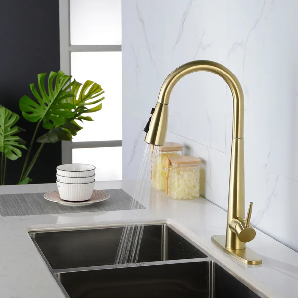 Kitchen Faucet with Pull-down Spray
