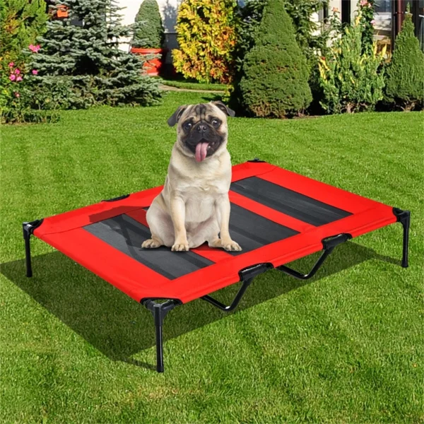 Pet Cages and Beds Will Not Be Provided on Weekends, Amazon Shipping, Walmart Banned From Sale