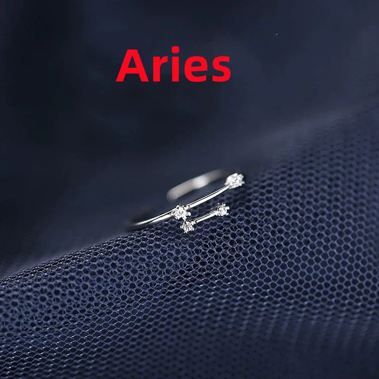 Silver Plated Zodiac Ring with 12 Constellation Symbols