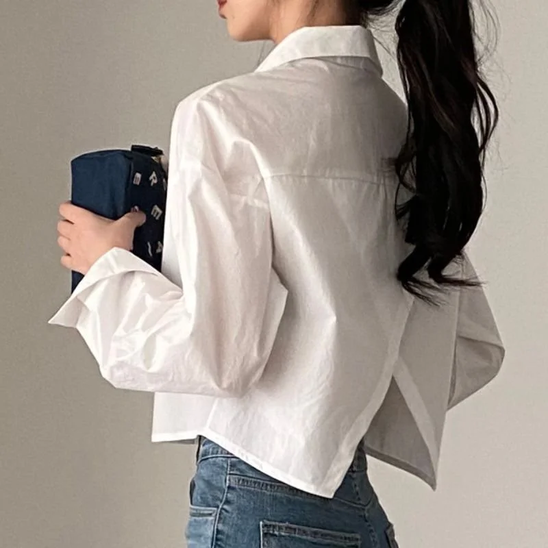 Elegant Long‑Sleeve Chiffon Shirt with Back Slit