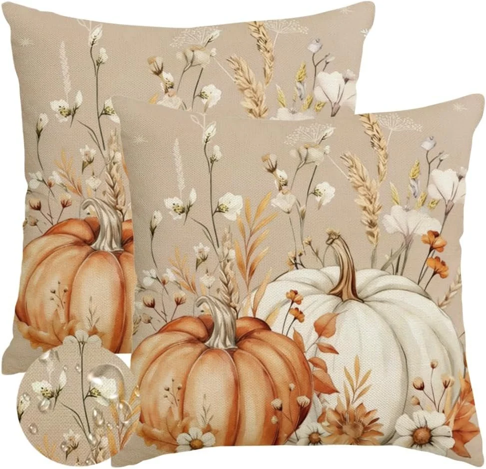 Fall Outdoor Throw Pillow Covers 2 Units, 18x18 Inch Pumpkin Cushion Cases for Patio, Porch, Couch and Autumn