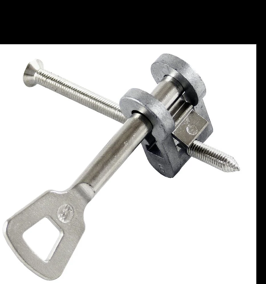 Key and cutting tool set with cichlid insert