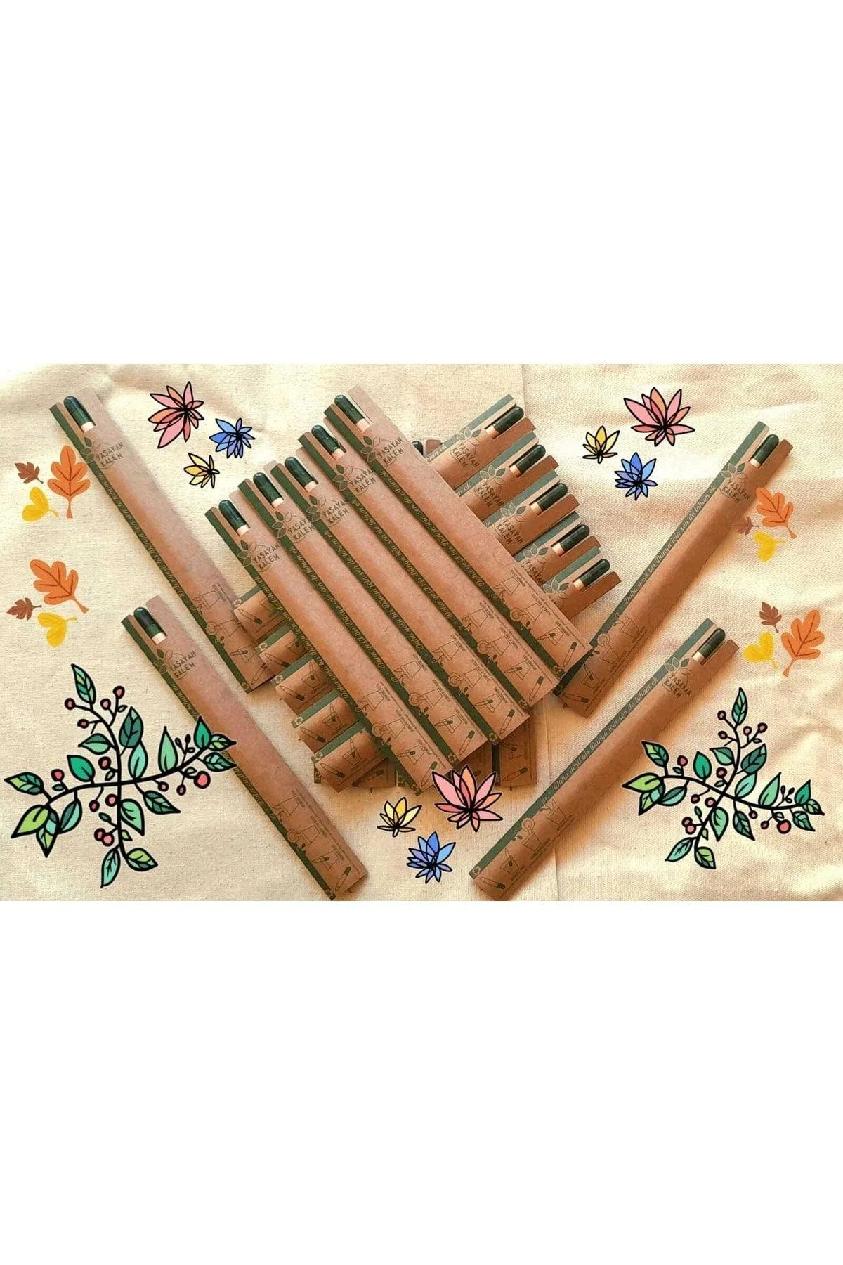 Seed Pencils Set, 36 Pieces
