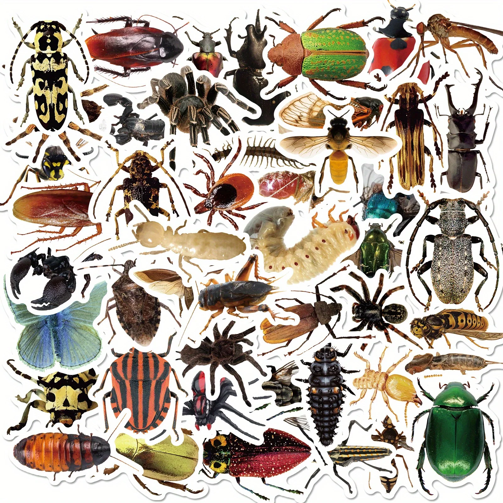 50‑Piece Insect Vinyl Sticker Pack – Ideal for Water Bottles, Skateboards & Bicycles