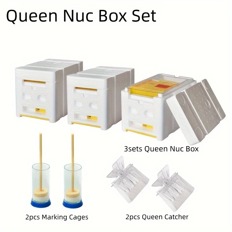 Three‑piece mini nuc box set for queen bee breeding and mating