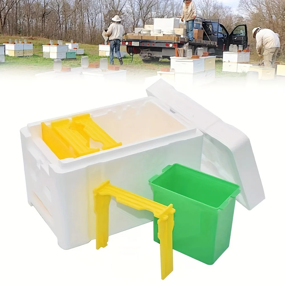 Classic mini plastic beehive kit for queen rearing in urban or rural spaces