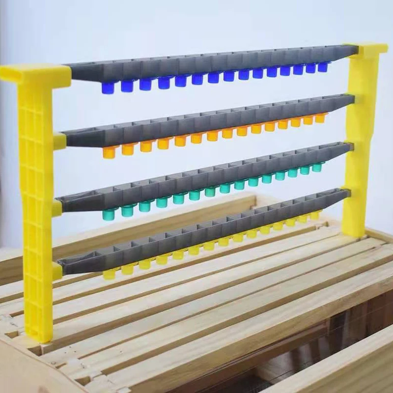 Queen bee rearing kit with 60 cell cups, frame bars and cell bar supports