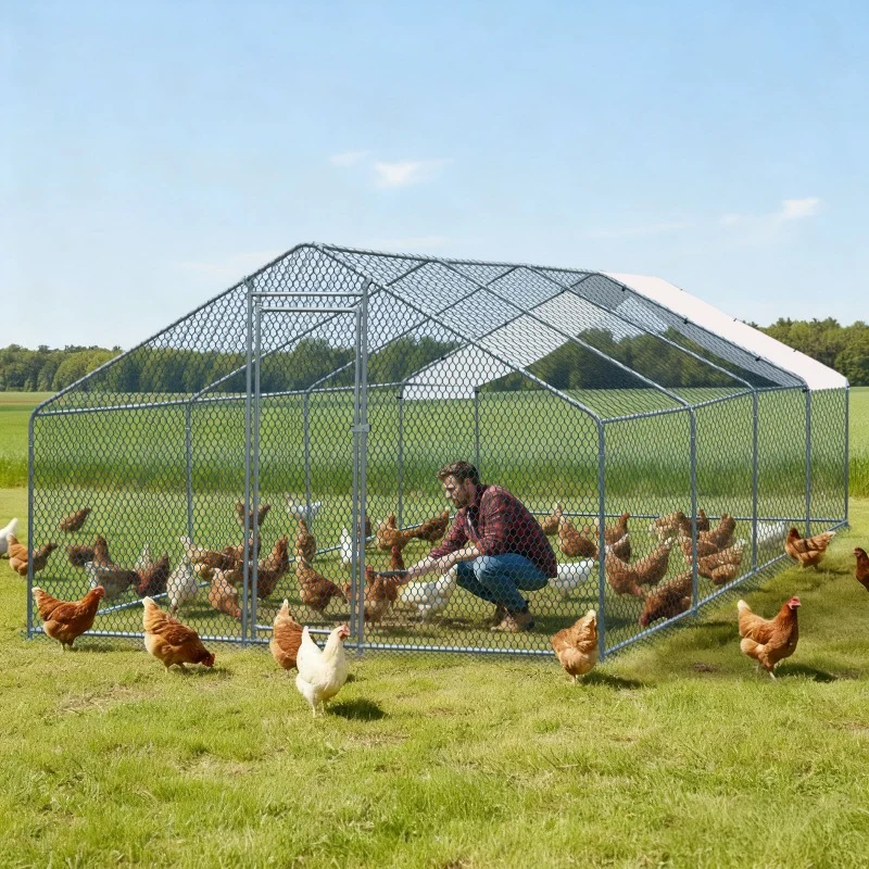 Four-compartment outdoor shelter for chickens and rabbits with arched roof