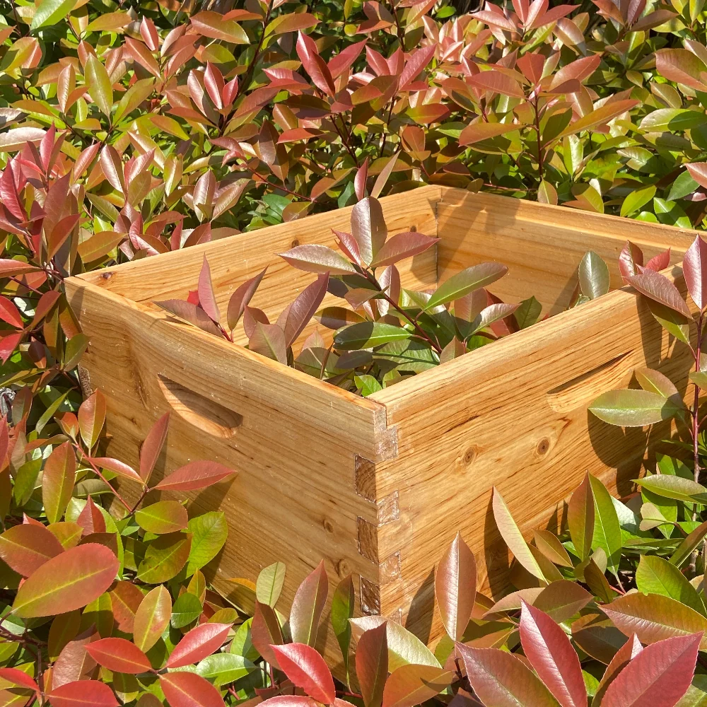 Solid wood deep brood box with wax coating for 10‑frame Langstroth hives