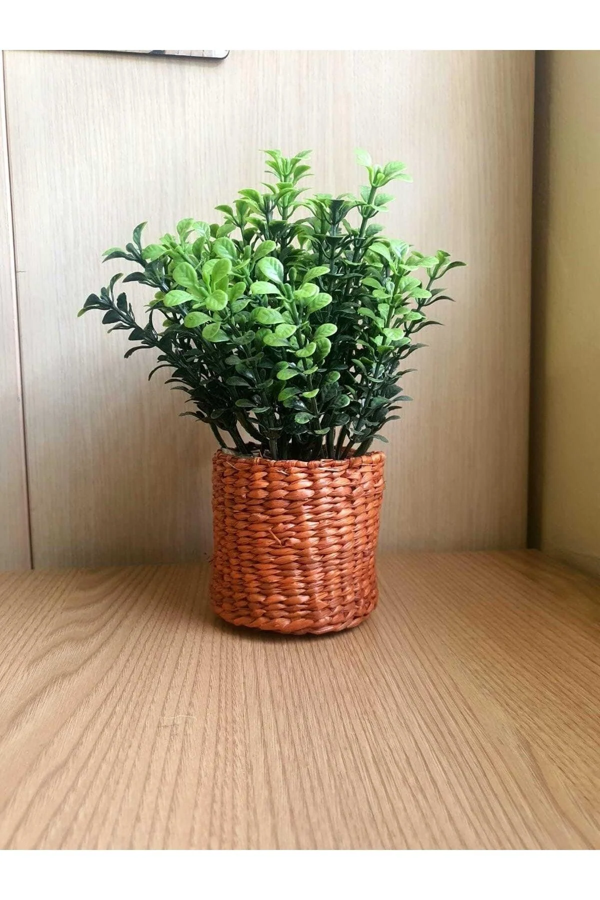 Artificial Boxwood Plant in Wicker Pot – 25 cm Height