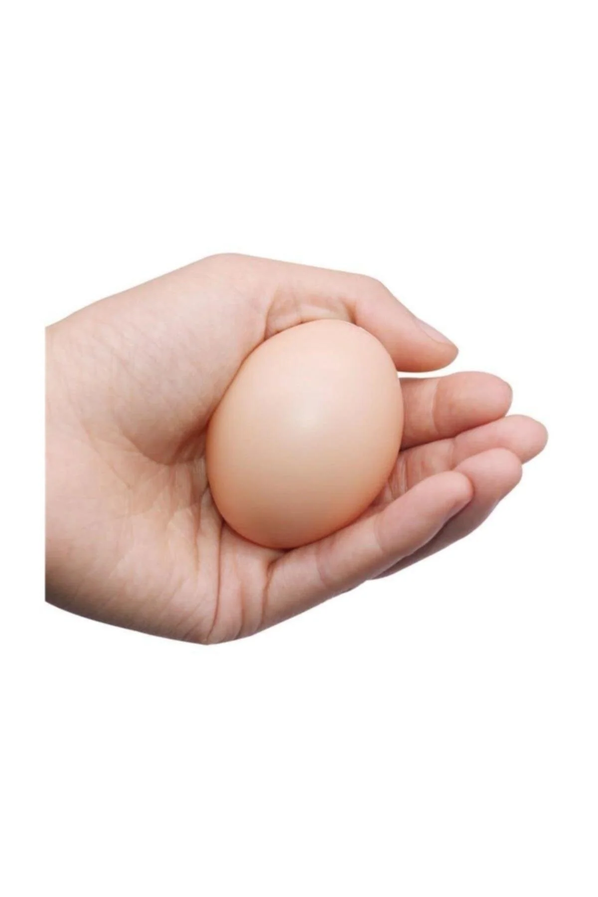 Brown Plastic Chicken Eggs for Poultry Stabilization, 10-Piece Set