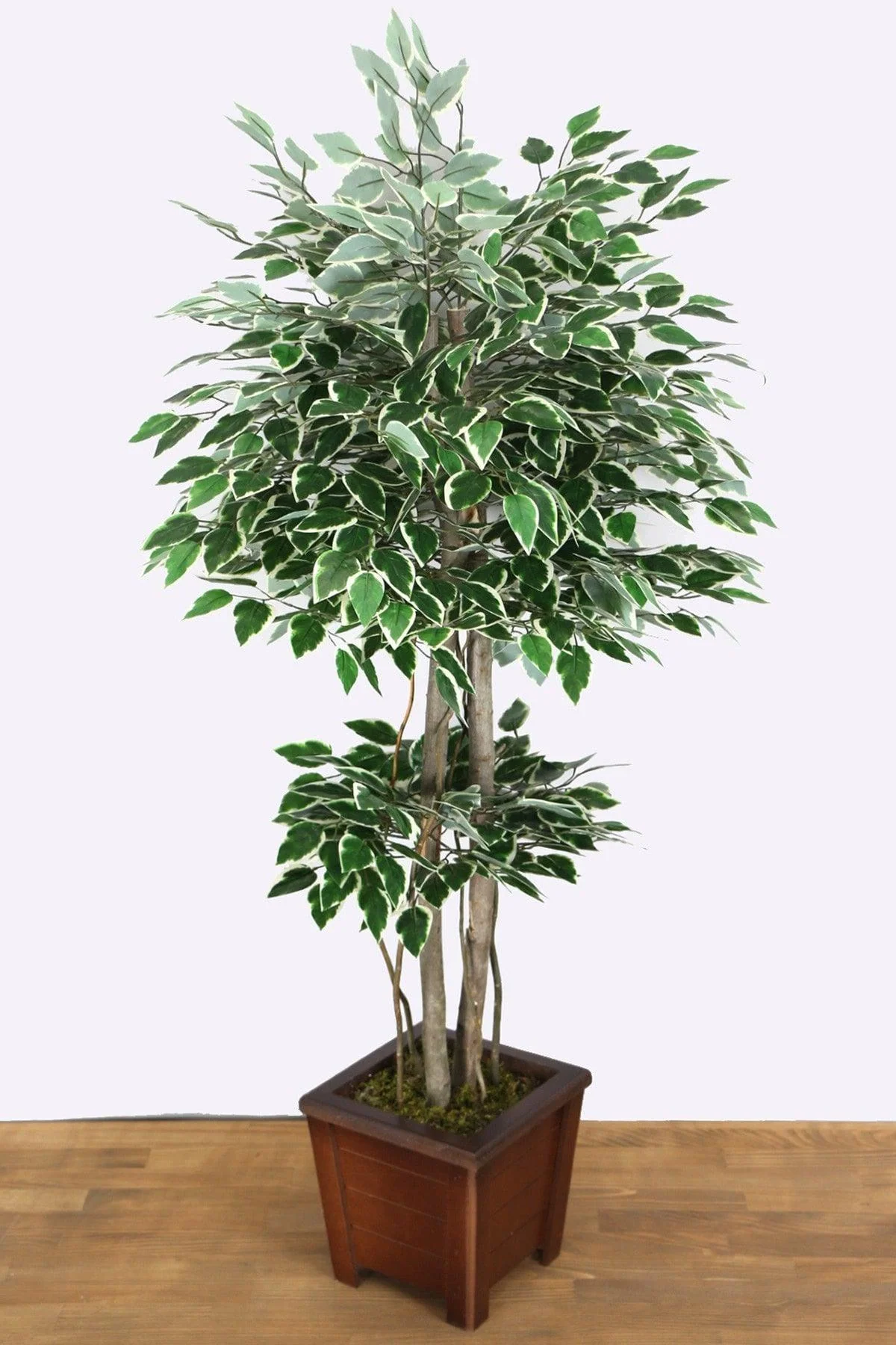 135cm Artificial Benjamin Tree in Starlight Green-White
