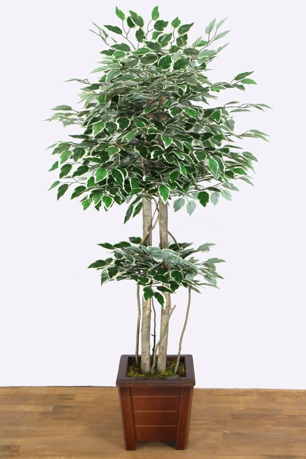 135cm Artificial Benjamin Tree in Starlight Green-White