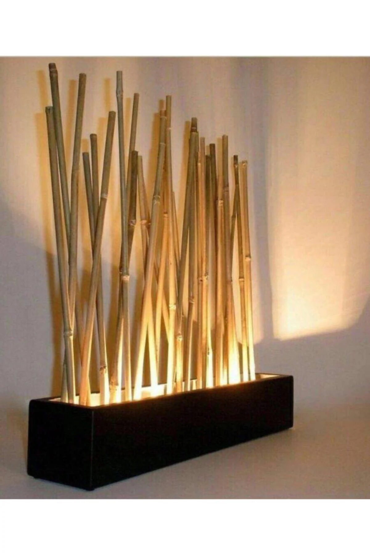 Natural bamboo plant for home decor and landscaping