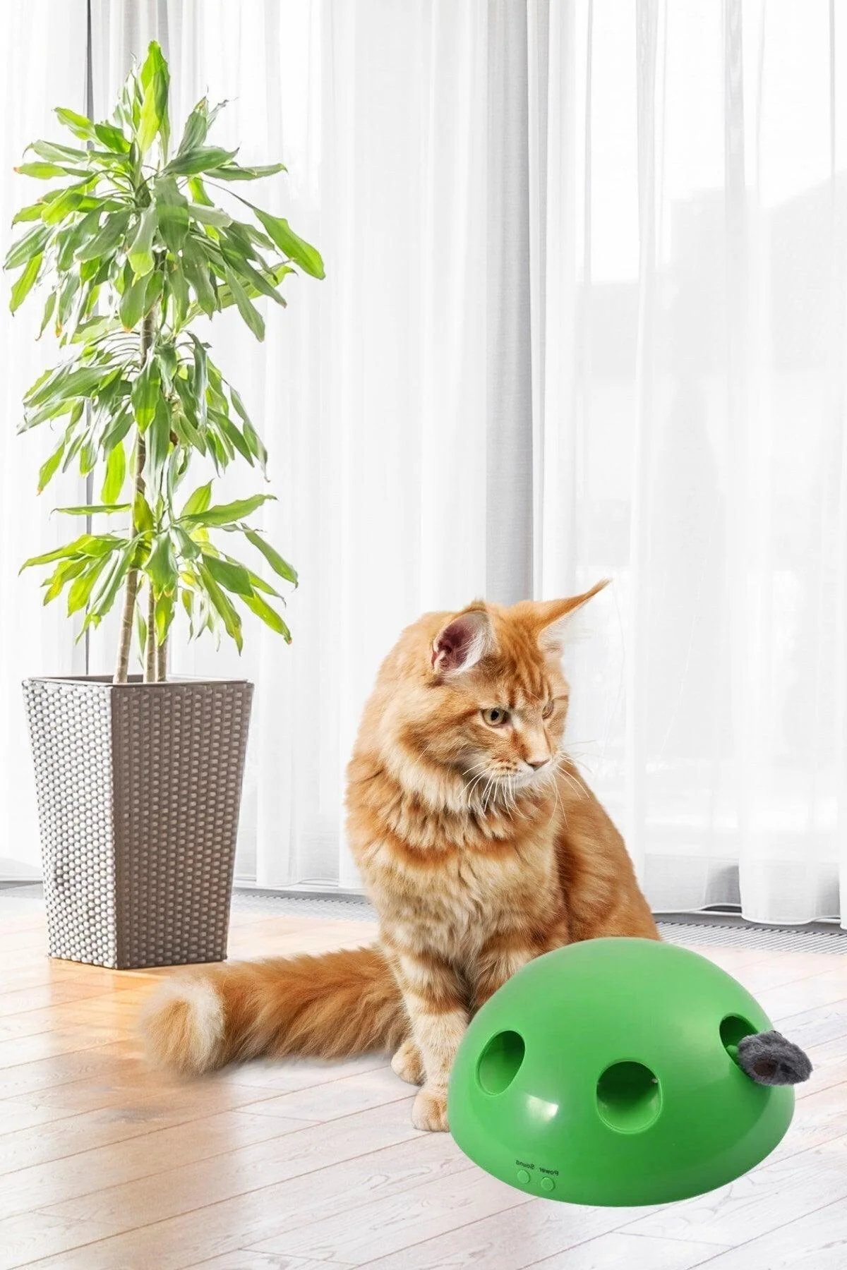 Automatic Battery-Powered Interactive Cat Toy with 360-Degree Motion