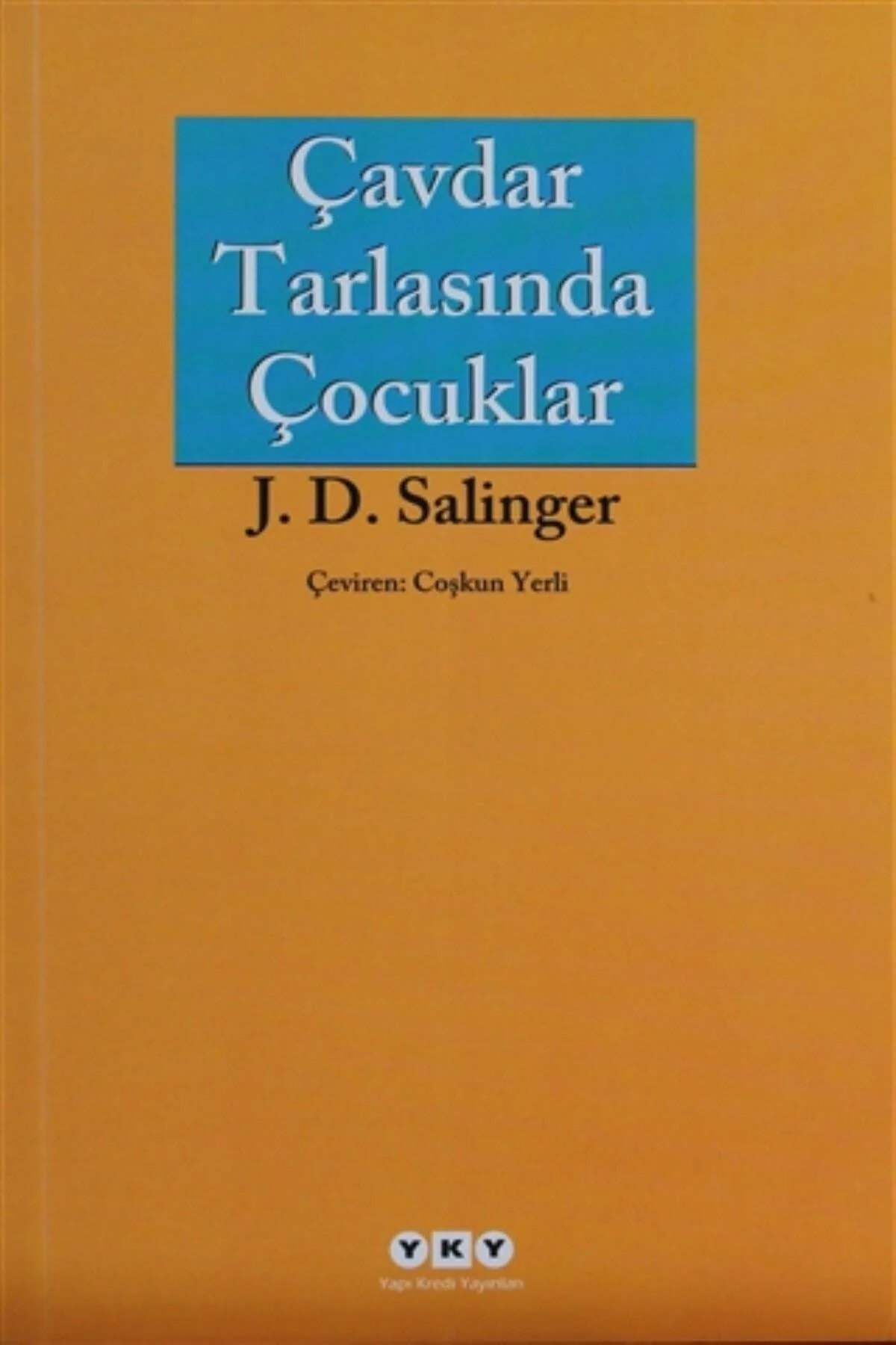 Literary novel about adolescence and identity