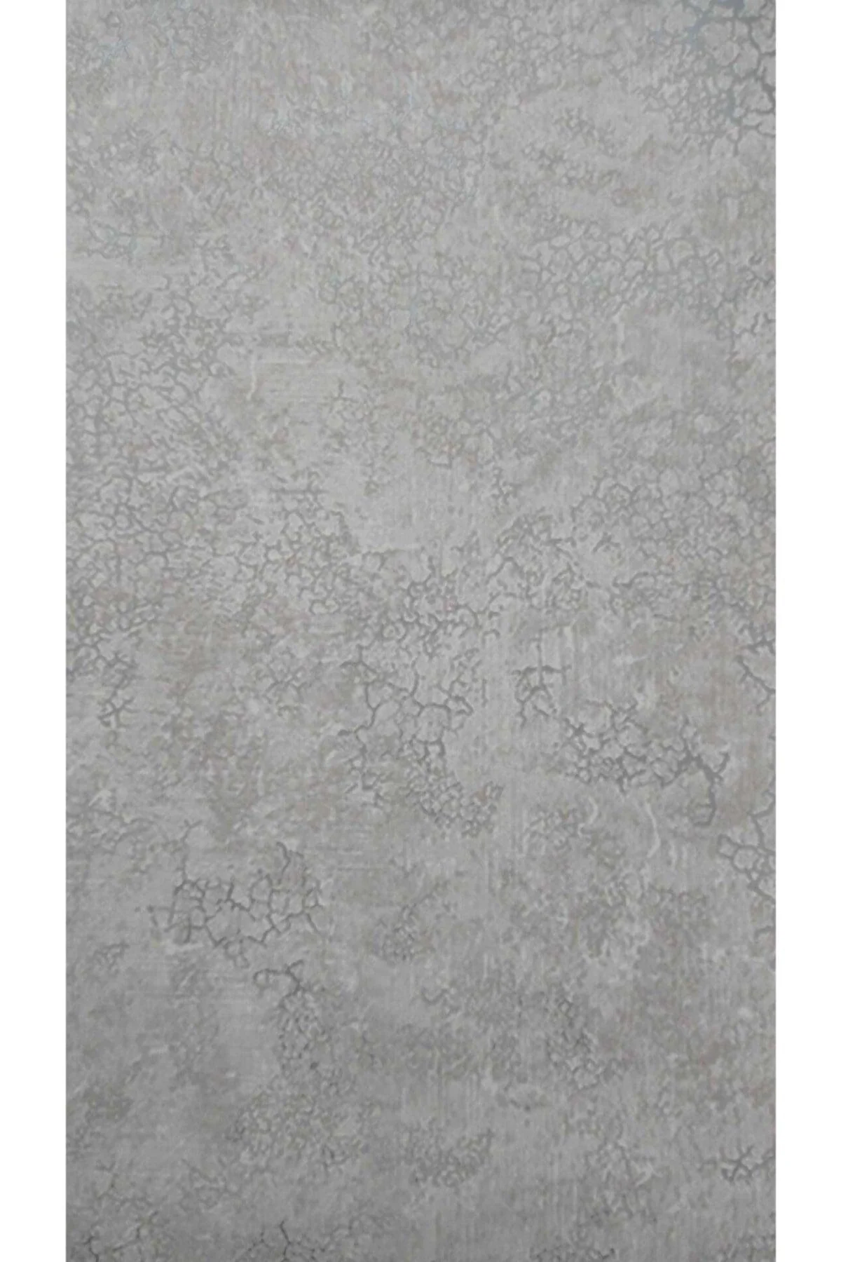 Silver Detailed Modern Wallpaper on Beige Base – 5 m² Roll (Non‑Woven, Air‑Permeable)