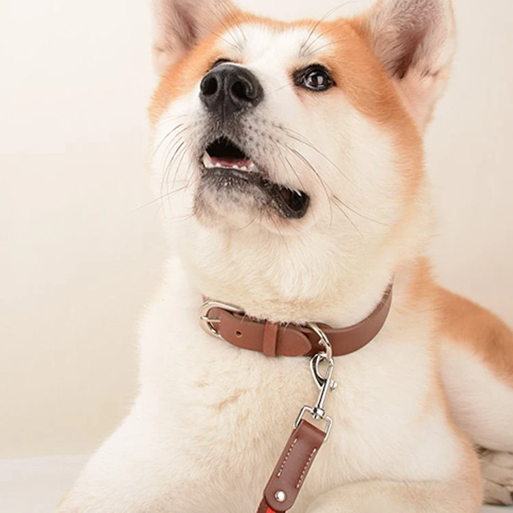 Comfort Pet Collar