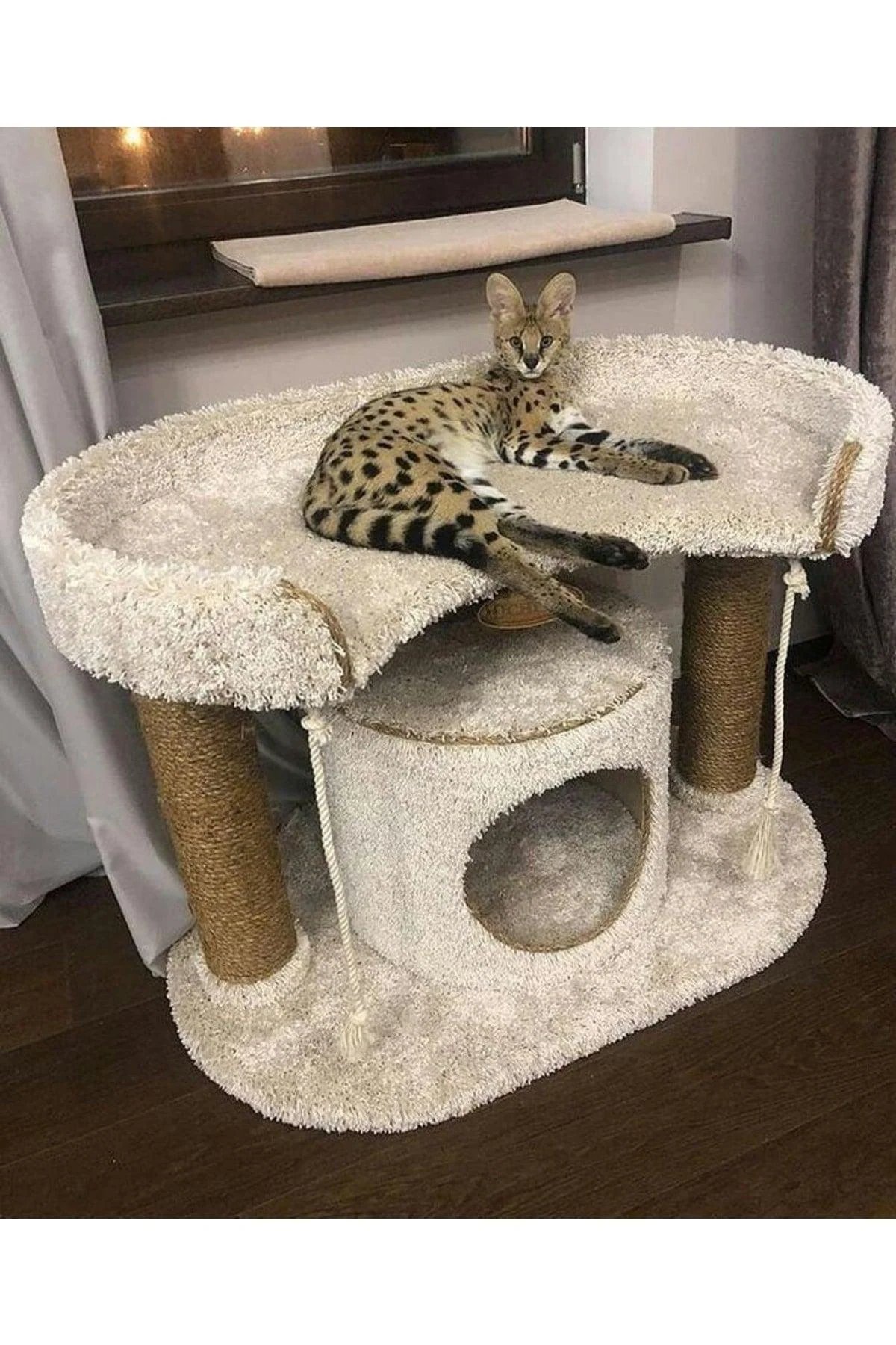 Plush pet bed and play mat with raised house