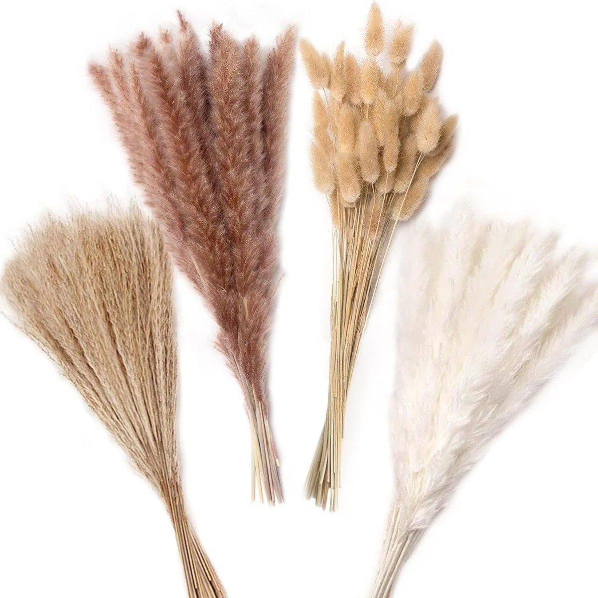 Decorative Dried Grass Set