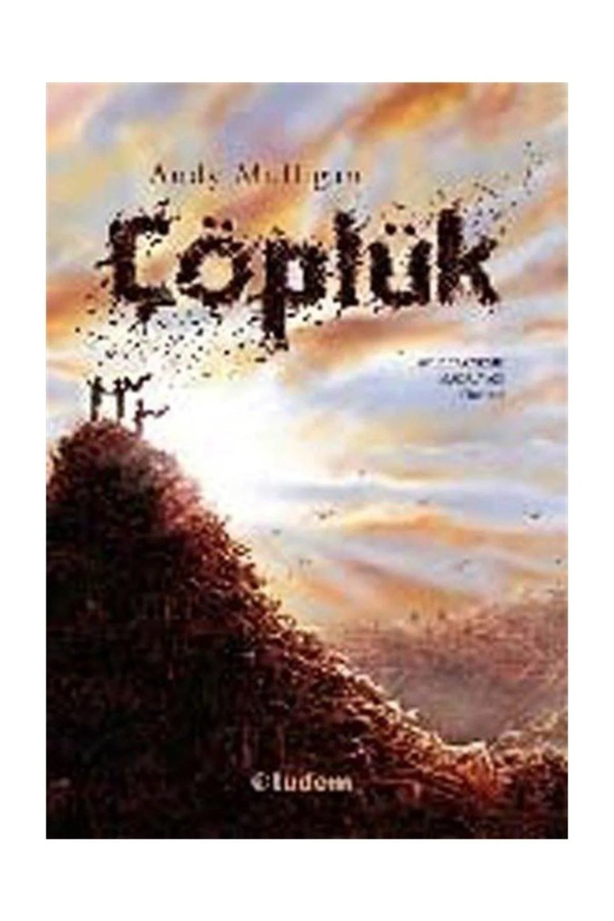 Adventure novel about a boy discovering hope in a landfill