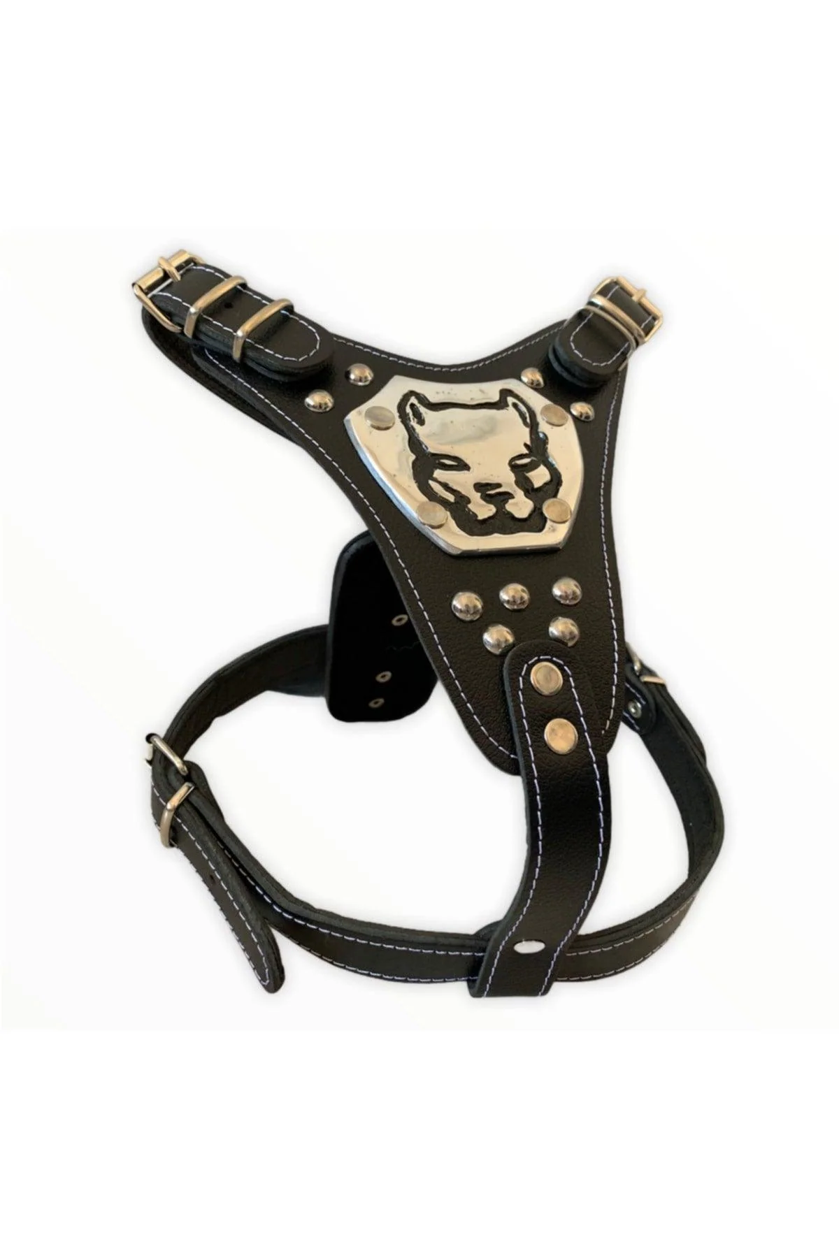 Large Breed Adjustable Dog Collar with Leather Leash