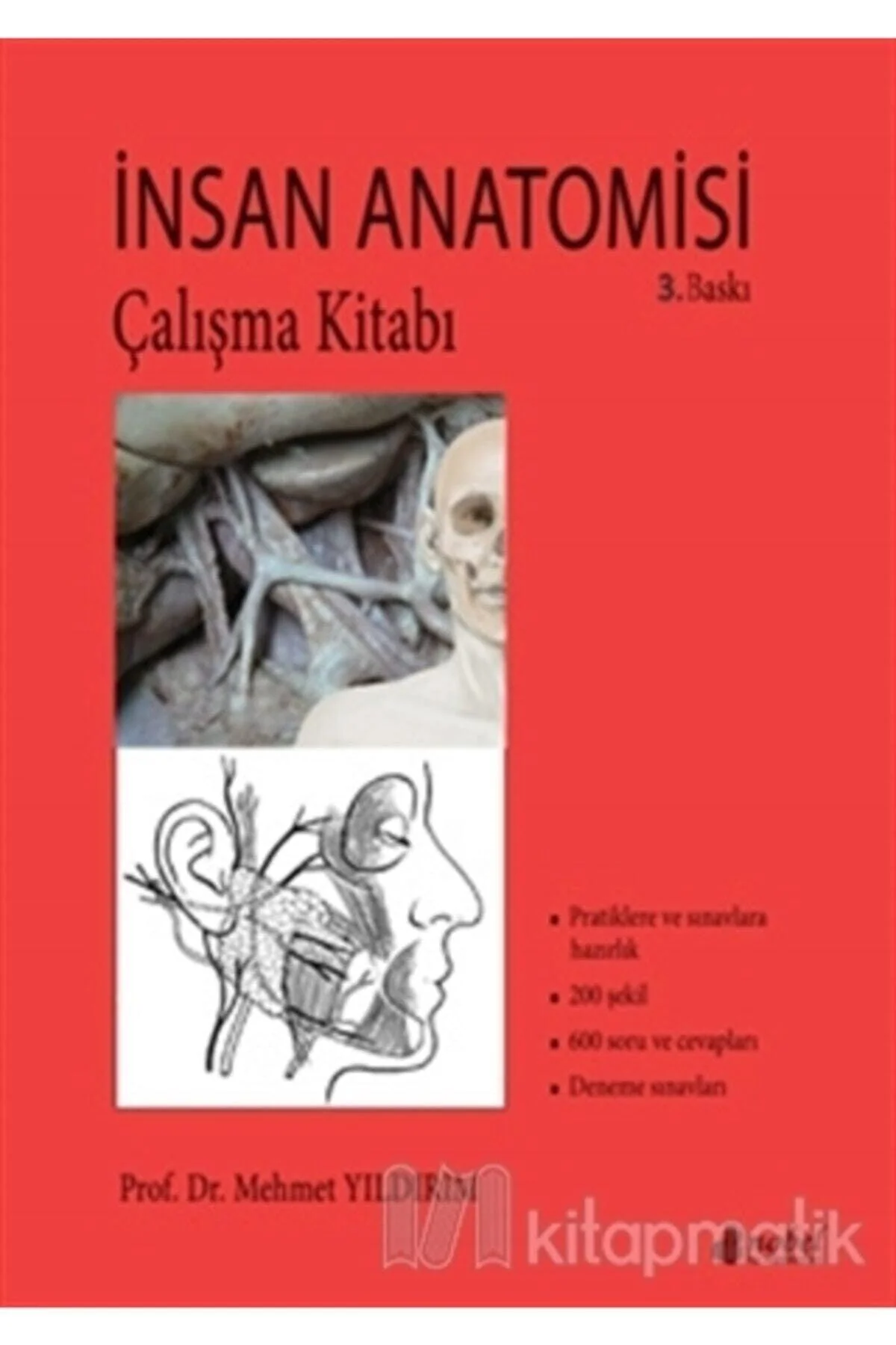 Human Anatomy Workbook for Students and Professionals