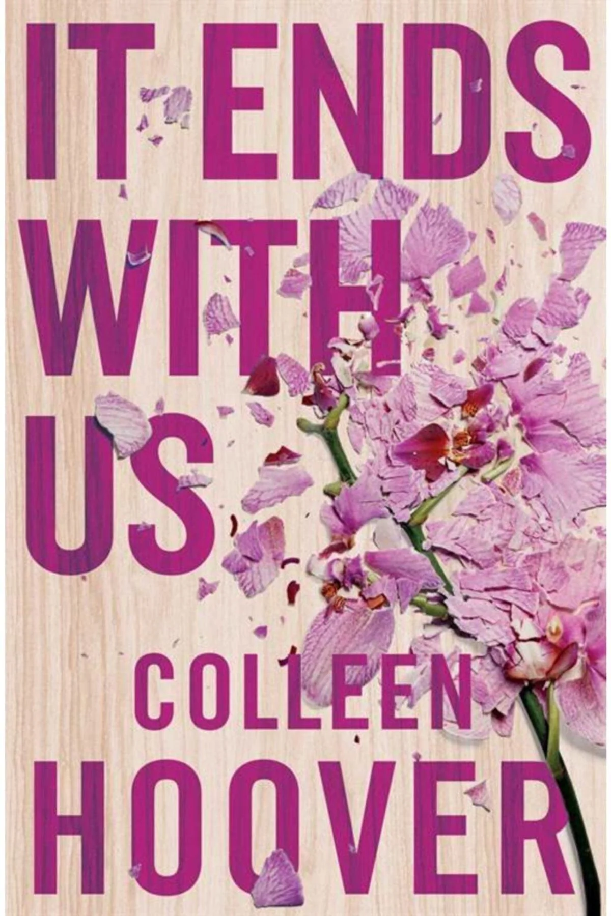 It Ends With Us paperback novel by Colleen Hoover