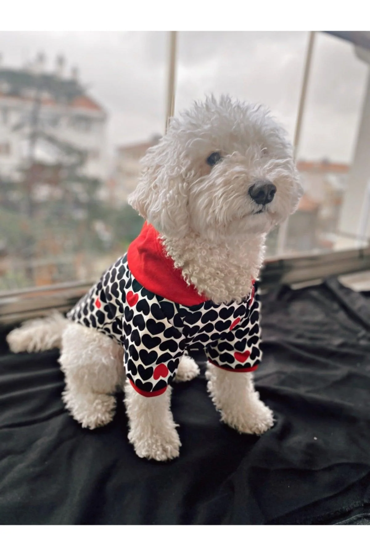 Waterproof dog coat with soft fleece lining for cold and rainy weather