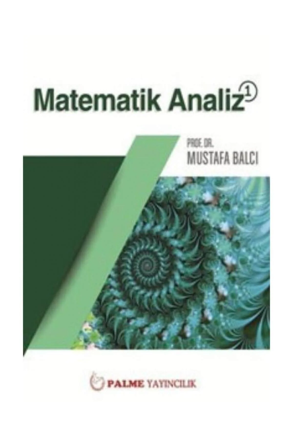 Mathematical Analysis 1 Textbook for Advanced Studies