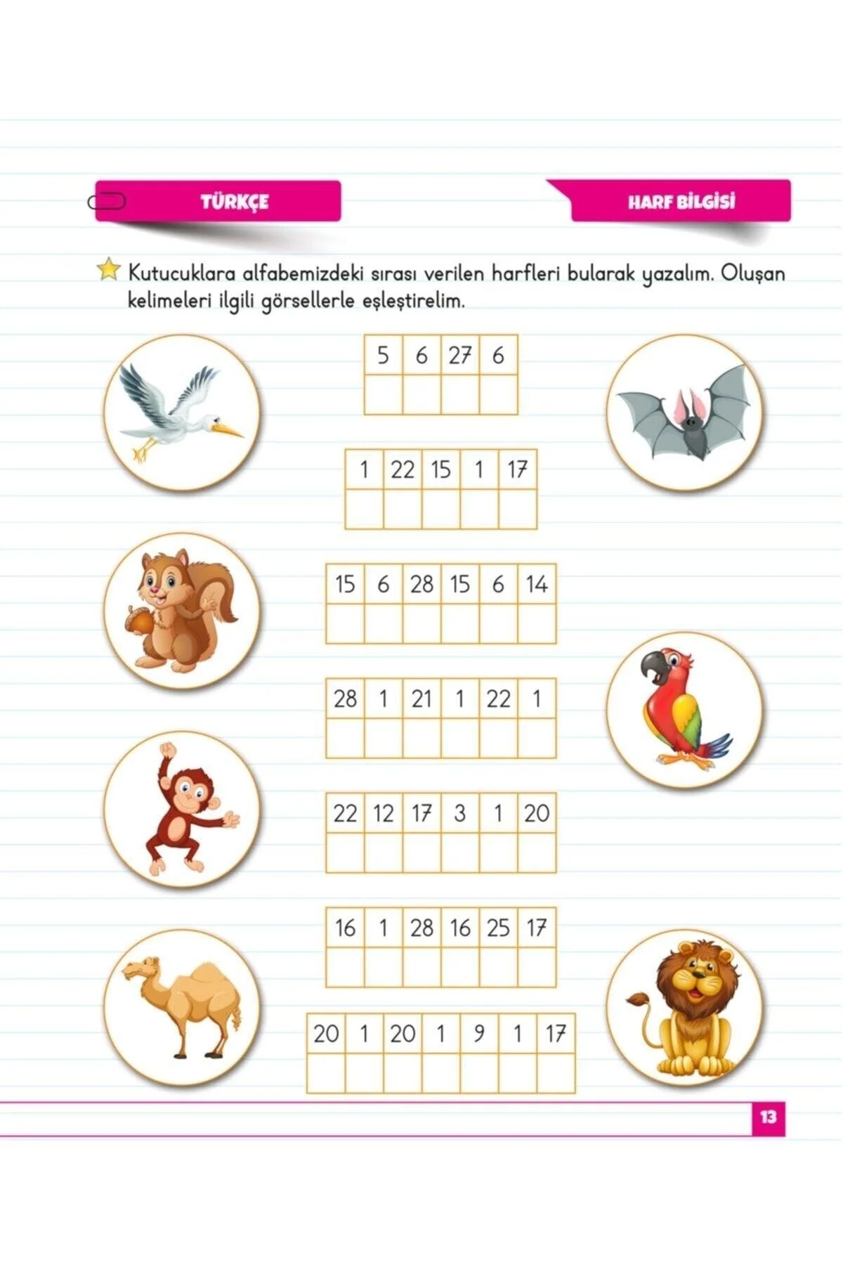 Second grade curriculum workbook for student learning and creativity