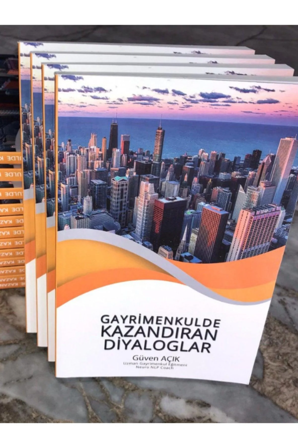 DIY Real Estate Dialogue Guide and Income Strategies Book