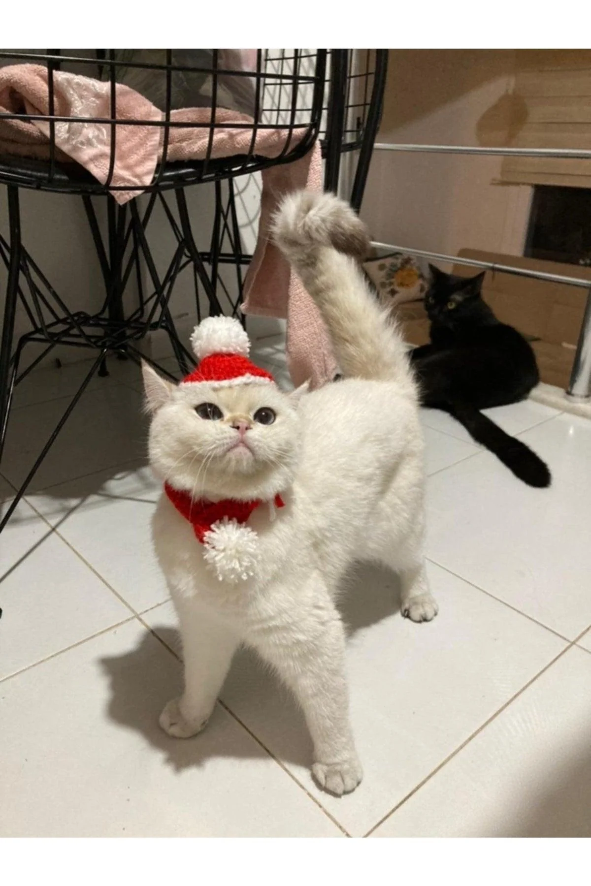 Knitted cat accessory scarf and hat set for winter