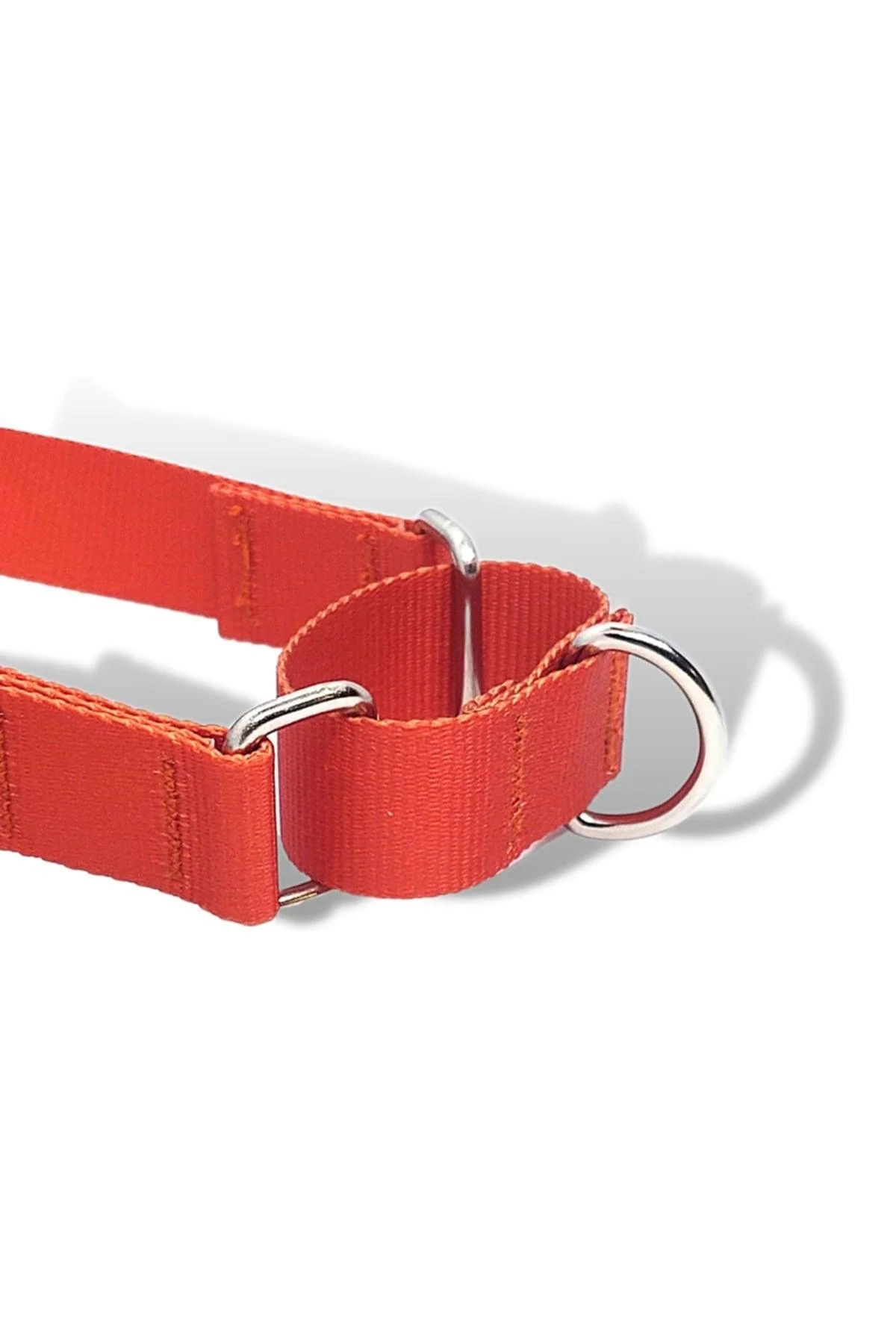 Easy walk front-clip dog harness