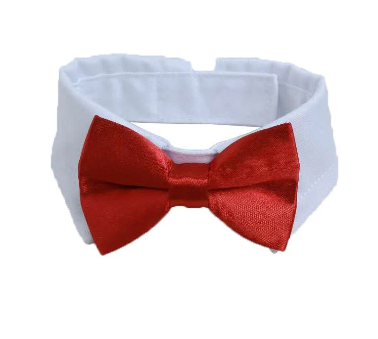 Pet Bow Tie Collar