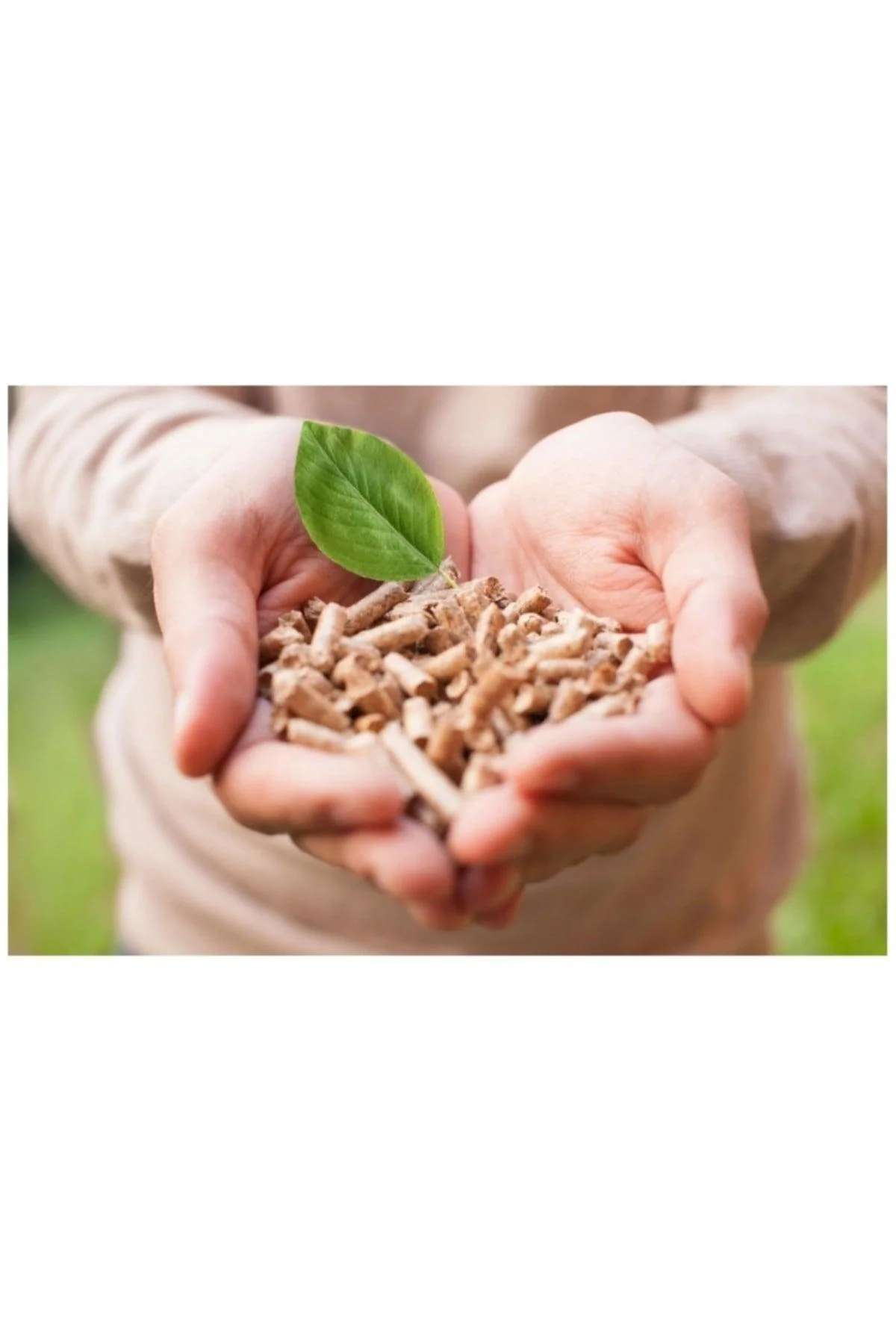 1 kg Pine Pellet Cat Litter