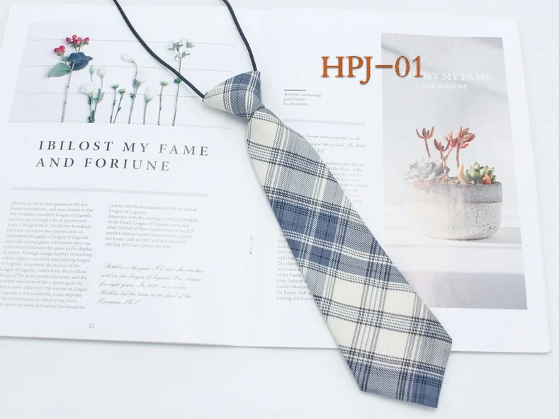 Plaid Tie Accessory
