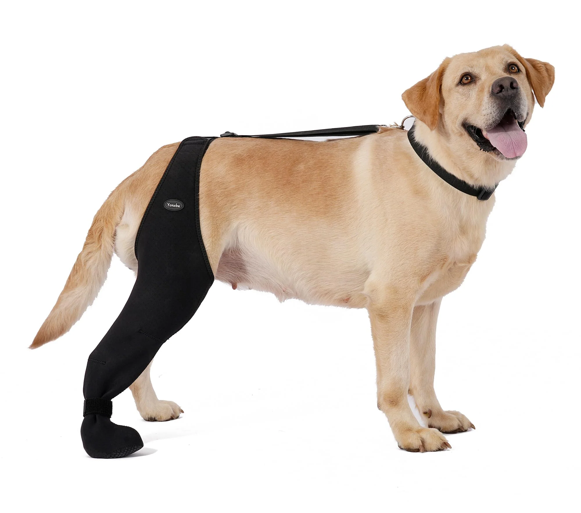Prevent Licking Paws Dog Socks - Breathable & Adjustable