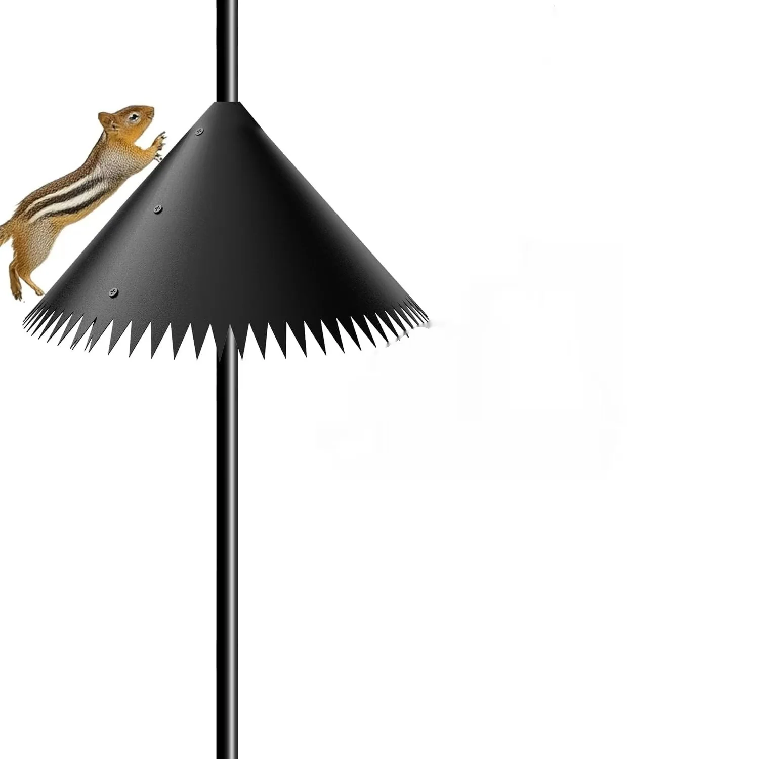 Protect Your Yard with Squirrel-Proof Bird Feeder