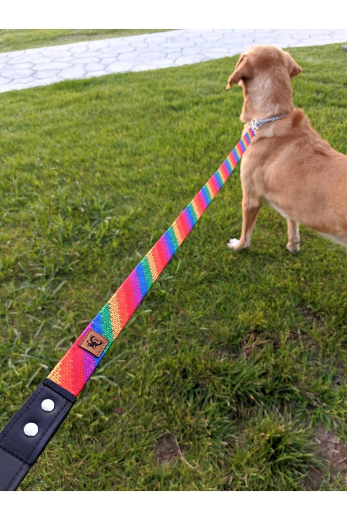 Rainbow Dog Extension Leash with Leather Handle – 120 cm