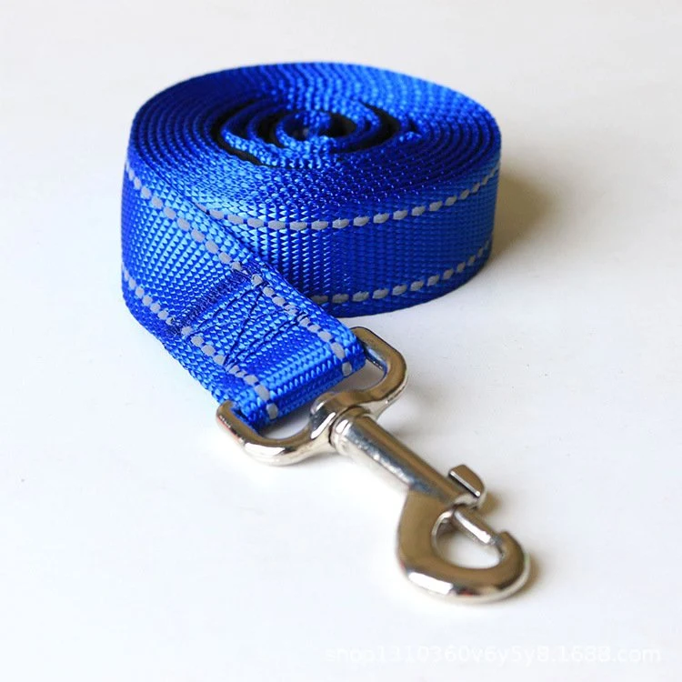 Safe Walk Leash
