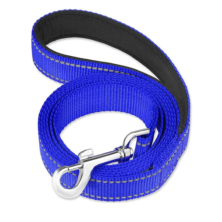 Safe Walk Leash