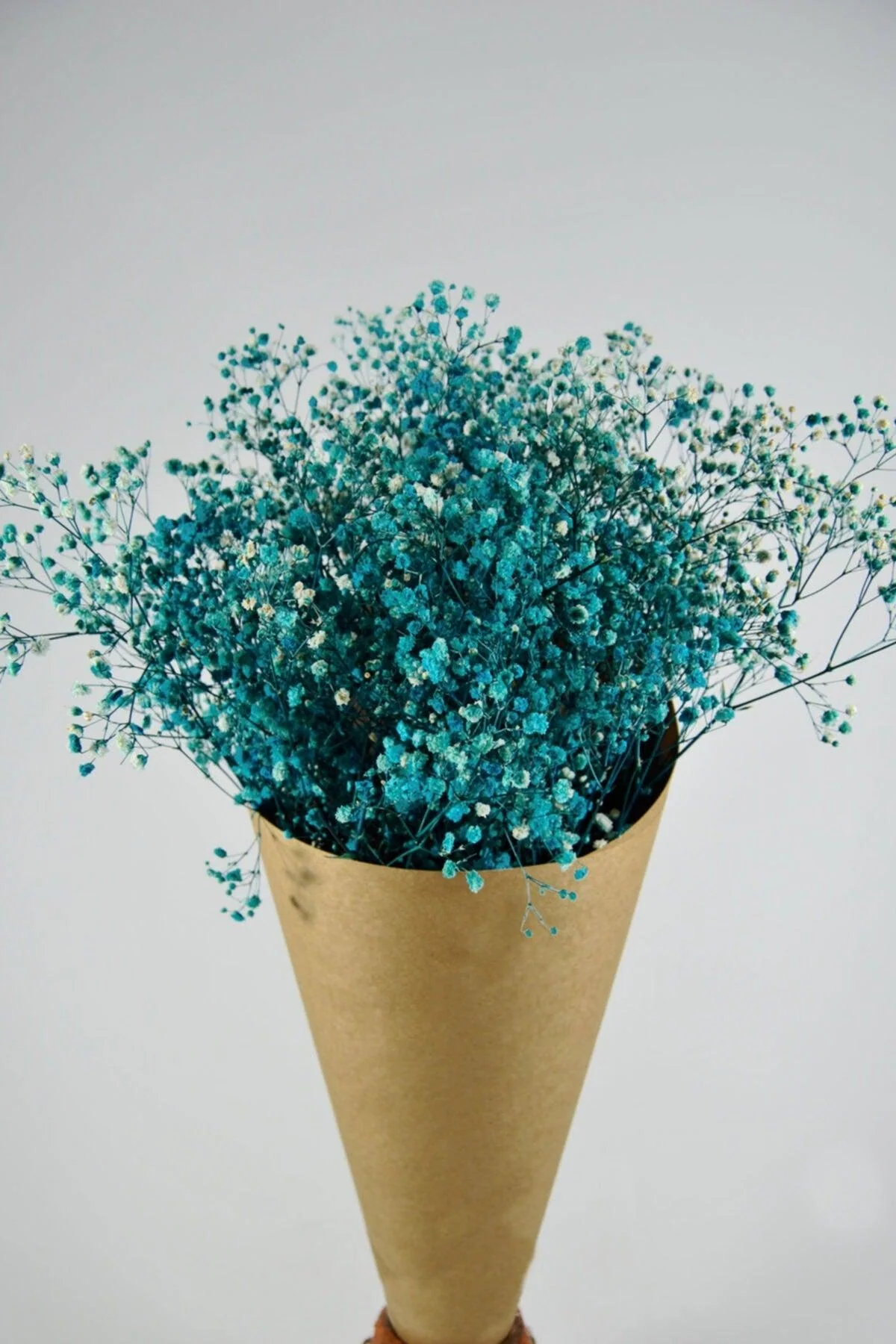 Colorful Chips for Crafts and Decorations