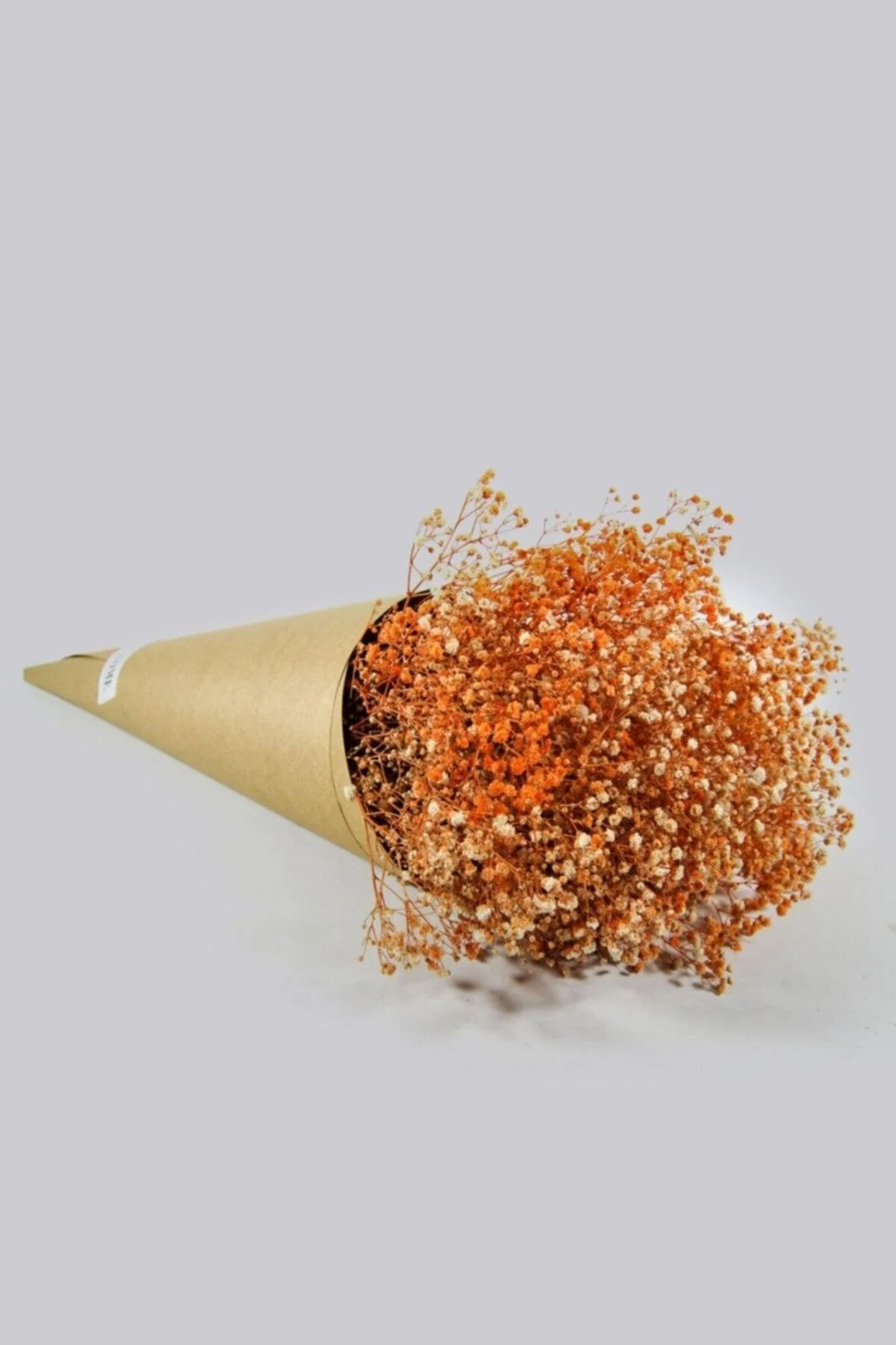Shocked Orange Color Chips for Creative Projects