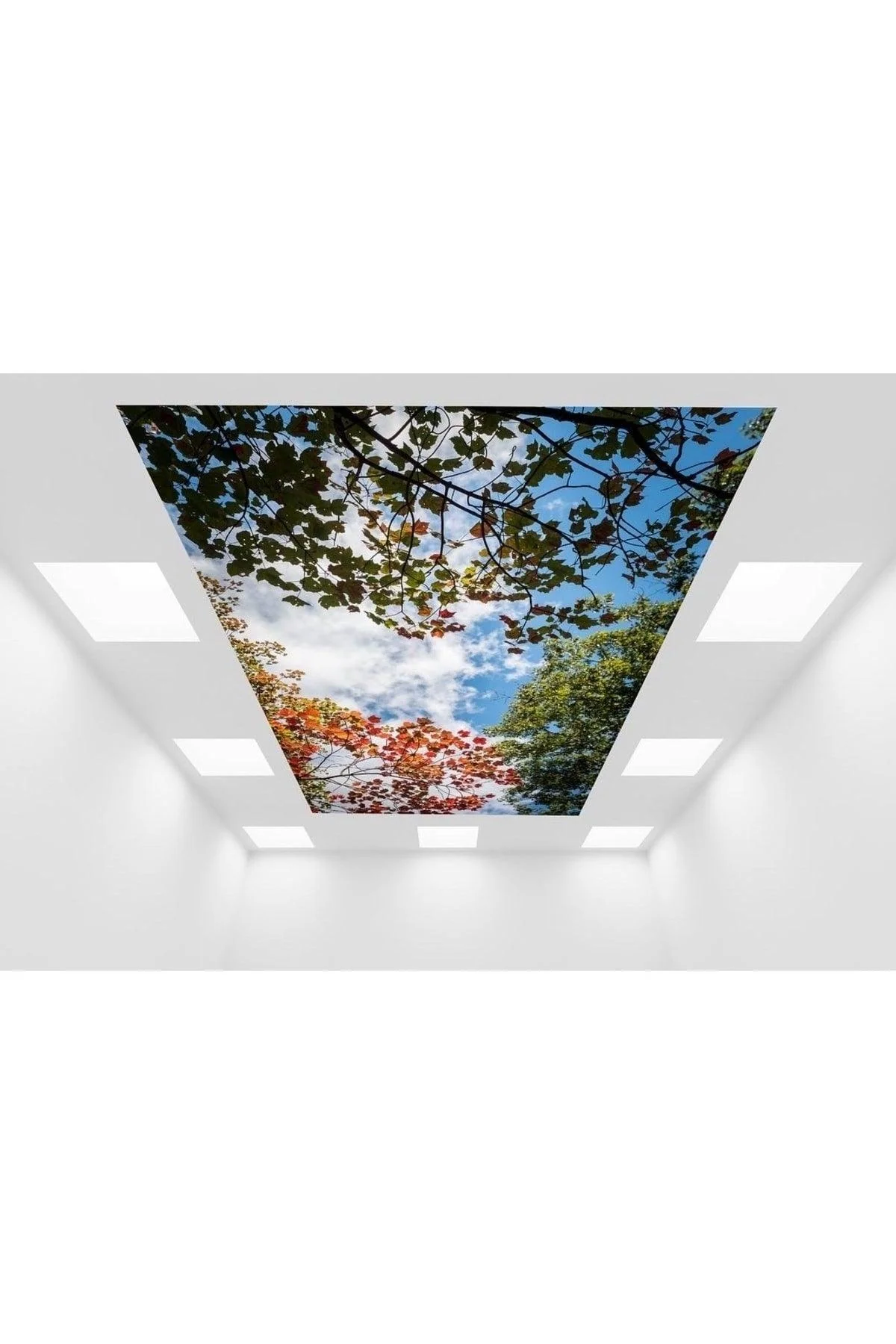 Digital Printed Stretch Ceiling System for Walls and Ceilings